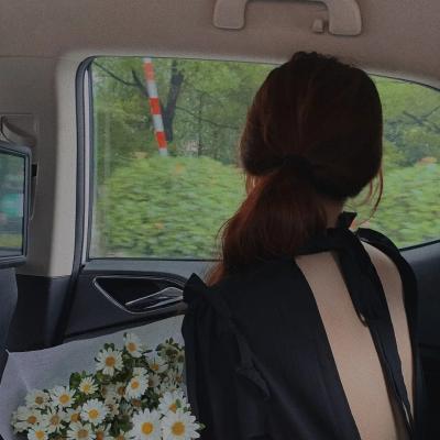 不及将军送我情